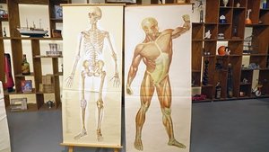 Bares für Rares 171. epizoda