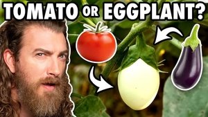 Good Mythical Morning 50. epizoda