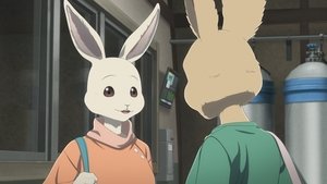 BEASTARS Chlápek narozený na jaře