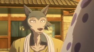 BEASTARS Přihořívá