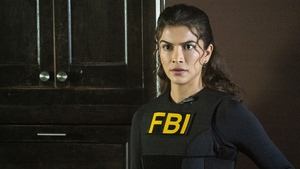 FBI 8. epizoda