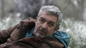 Eternaut Ledová rajčatová šťáva