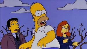 Simpsonovi Akta S