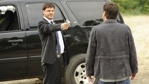 Agentura Jasno Vše o Juliet