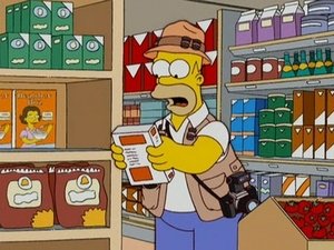 Simpsonovi Homerazzi
