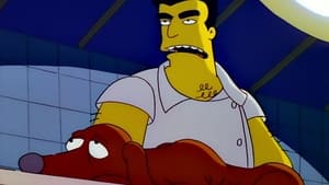 Simpsonovi Spasitel zabijákem