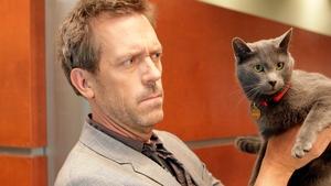 Dr. House Čiči čiči