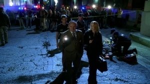 Kriminálka Las Vegas Rodinná záležitost