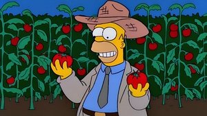 Simpsonovi Fujtajbl