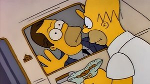 Simpsonovi Ach, rodný bratře, kde tě mám?