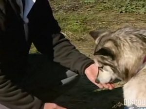 Bořiči mýtů 5. epizoda
