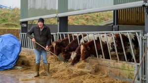 Clarksonova farma Sólování