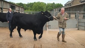 Clarksonova farma Finišování