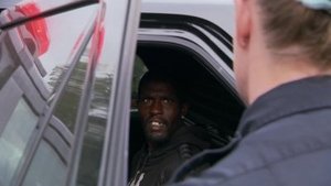 Cops 7. epizoda