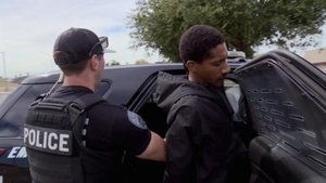 Cops 12. epizoda