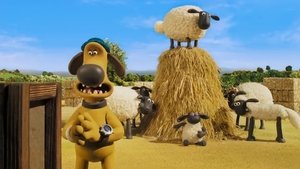 Ovečka Shaun 8. epizoda