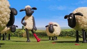 Ovečka Shaun 7. epizoda