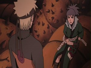 Naruto: Šippúden Znepřátelení spojenci