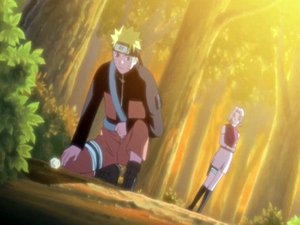 Naruto: Šippúden Místo, kam se vrátit