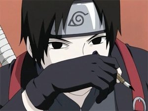 Naruto: Šippúden Nový cíl