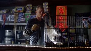 Borci z Blue Mountain State Jezevec