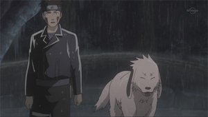 Naruto: Šippúden Deštivá noc