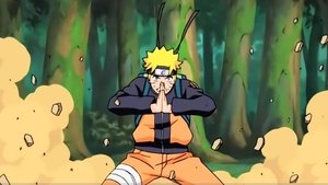 Naruto: Šippúden Skrytá koule – pojmenována...!