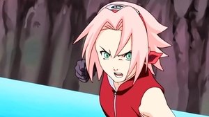Naruto: Šippúden Aktivace pasti! Nepřátelé týmu Gai!