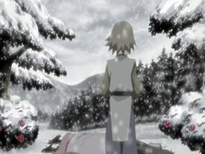 Naruto: Šippúden Rudá kamélie