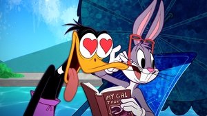 Looney Tunes: Úžasná show Casa de Calma