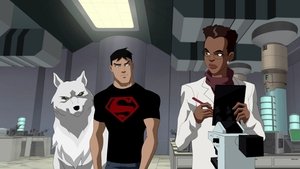 Young Justice 22. epizoda