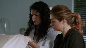 Rizzoli & Isles: Vraždy na pitevně 6. epizoda