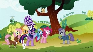 Můj malý Pony: Přátelství je magické Maud Pie