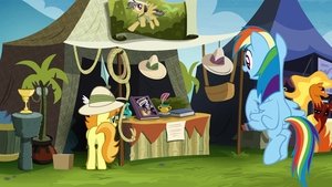 Můj malý Pony: Přátelství je magické Plácneme si