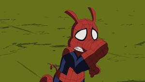 Dokonalý Spiderman Utíkej, prasátko, utíkej!