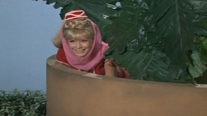 I Dream of Jeannie 13. epizoda