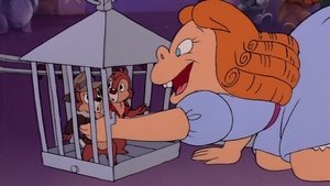 Chip a Dale - Rychlá rota Chip a Dale ve při