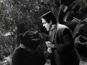 The Munsters 1. epizoda