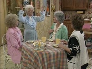 The Golden Girls 19. epizoda