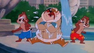 Chip a Dale - Rychlá rota Počasí nebo život