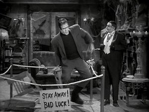 The Munsters 21. epizoda