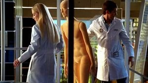 Kriminálka Miami 48 hodin života