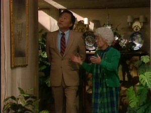 The Golden Girls 25. epizoda