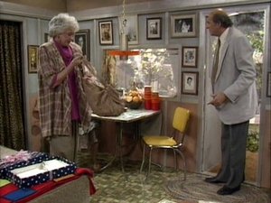 The Golden Girls 25. epizoda