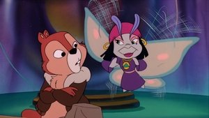 Chip a Dale - Rychlá rota Nevěřte věštbám