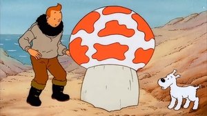 Tintinova dobrodružství Tajemná hvězda