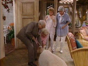 The Golden Girls 3. epizoda