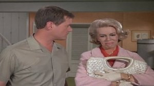 I Dream of Jeannie 20. epizoda