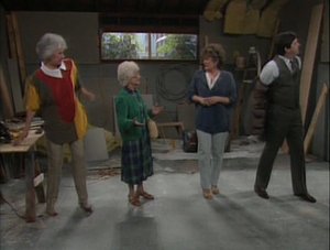 The Golden Girls 22. epizoda