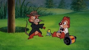 Chip a Dale - Rychlá rota Čupršpión Dale